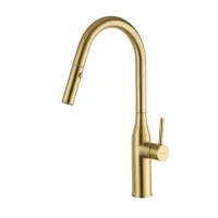 G4398-43 кухня одноваж. висувний вилив лат. ?35 (сатин золотий) {8}