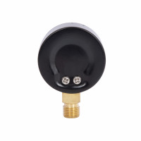 Манометр Standart d50 мм, 1/4"З із нижнім підключенням (латун.) 0-10 бар SD17010B Thermo Alliance