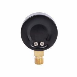 Манометр Standart d50 мм, 1/4"З із нижнім підключенням (латун.) 0-10 бар SD17010B Thermo Alliance Манометр Standart d50 мм, 1/4"З із нижнім підключенням (латун.) 0-10 бар SD17010B Thermo Alliance