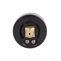 Манометр Standart d50 мм, 1/4"З із заднім підключенням (латун.) 0-6 бар SD1716B Thermo Alliance