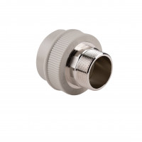 Муфта PPR Thermo Alliance 63х2" ЗР Муфта PPR Thermo Alliance 63х2" ЗР