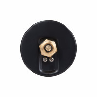 Термоманометр SD Plus 80 мм 1\2", заднє підключення SD17310B