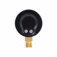 Манометр Standart d50 мм, 1/4"З із нижнім підключенням (латун.) 0-6 бар SD1706B Thermo Alliance