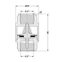 Зворотний клапан із латунним штоком Thermo Alliance Forte 2"ВВ нікель TAF240W50