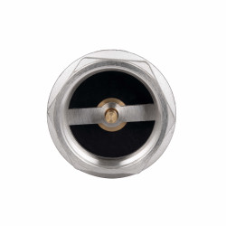 Зворотний клапан із латунним штоком Thermo Alliance Forte 2"ВВ нікель TAF240W50 Зворотний клапан із латунним штоком Thermo Alliance Forte 2"ВВ нікель TAF240W50