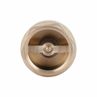 Зворотний клапан Thermo Alliance Base 1"ВВ Slim із латунним штоком TAB240W25S