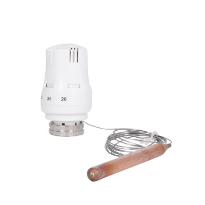 Термоголовка Thermo Alliance Standart М30х1,5 (20-50?) з виносним датчиком TAS34150