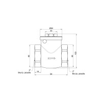 Запорний клапан пелюстковий 2" SD