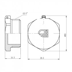 Заглушка Thermo Alliance Forte 3/4" ЗР SF35320 Заглушка Thermo Alliance Forte 3/4" ЗР SF35320