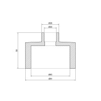 Муфта PPR Thermo Alliance 63х20