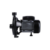Насос поверхневий відцентровий Thermo Alliance CPm145/1 0,55 кВт Насос поверхневий відцентровий Thermo Alliance CPm145/1 0,55 кВт