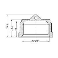 Заглушка Thermo Alliance Standart 3/4" ВР SD40220