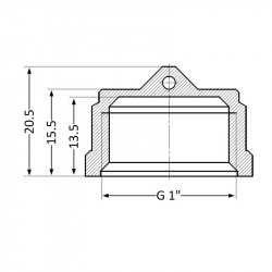 Заглушка Thermo Alliance Standart 1" ВР SD40225 Заглушка Thermo Alliance Standart 1" ВР SD40225