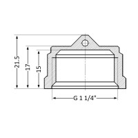 Заглушка Thermo Alliance Standart 1 1/4" ВР SD40232