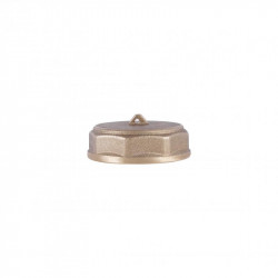 Заглушка Thermo Alliance Standart 1 1/2" ВР SD40240 Заглушка Thermo Alliance Standart 1 1/2" ВР SD40240