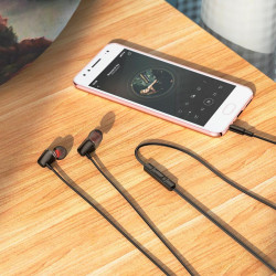 Навушники Hoco Discoverer universal earphones with mic M107