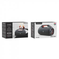 Акустика Xdobo Kungfu IPX7 |BT5.3, 160W, TWS, USB/AUX, 20h|