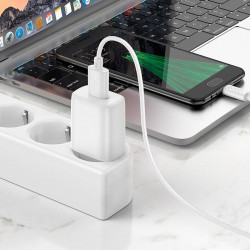 Адаптер мережевий Hoco Micro USB Cable Solid single port charger C134A |1USB, 12W/2.4A|