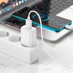 Адаптер мережевий Hoco Type-C Cable Solid single Port charger C134A |1USB, 12W/2.4A|
