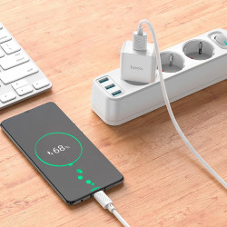 Адаптер мережевий HOCO Leisure Micro USB cable single port charger C106A |1USB, 10.5W/2.1A|
