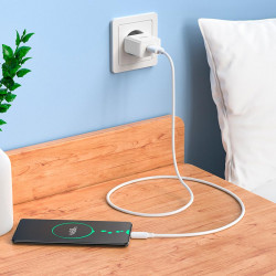 Адаптер мережевий HOCO Leisure Micro USB cable single port charger C106A |1USB, 10.5W/2.1A|