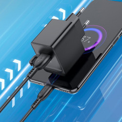 Адаптер мережевий Borofone Micro USB cable Erudite BAS12A |1USB, 18W/3A, QC3.0|