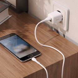 Адаптер мережевий Hoco Micro USB Cable Briar dual Port charger set N8 |2USB, 2.4A| (Safety Certified)