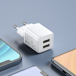 Адаптер мережевий Hoco Type-C Cable Briar dual Port charger set N8 |2USB, 2.4A| (Safety Certified)