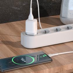 Адаптер мережевий Hoco Type-C Cable Briar dual Port charger set N8 |2USB, 2.4A| (Safety Certified)