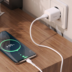 Адаптер мережевий Hoco Type-C Cable Briar dual Port charger set N8 |2USB, 2.4A| (Safety Certified)