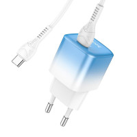 Адаптер мережевий HOCO Type-C to Type-C cable single port charge set C101A |Type-C, PD, 3A/20W|
