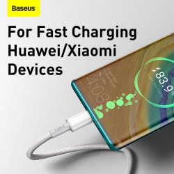 Кабель BASEUS Type-C to Type-C High Density Braided Fast Charging Data Cable |1M, 5A, 100W| (CATGD-02)