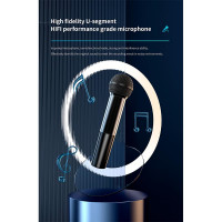 Акустика-караоке Xdobo Beast 1982 IPX7 |BT5.3, TWS, EQ, AUX/TF/USB, 120W, 10h|
