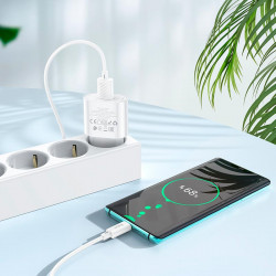 Адаптер мережевий Hoco Type-C Cable Fighter single port charger C109A |1USB, 18W/3A, QC|