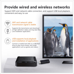 Android TV приставка Allwinner TV BOX X96Q |H313, 1GB RAM, 8GB ROM|