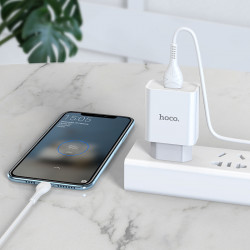 Адаптер мережевий Hoco Type-C cable Asombroso C81A |1USB, 2.1A|