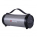 Акустика Bluetooth Beecaro with RGB Light RX33D |BT5.0, 7.5/8.5W, FM, AUX, TF| (230*94*97mm)