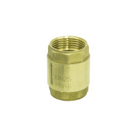 Зворотній клапан 1" WaterPro