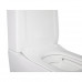 Унітаз-компакт Qtap Crow безобідковий з сідінням Soft-close QT05222170W