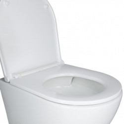 Унітаз підвісний Qtap Robin Mew безобідковий з сидінням Soft-close QT1333046EUQW