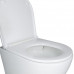 Унітаз підвісний Qtap Robin Mew безобідковий з сидінням Soft-close QT1333046EUQW