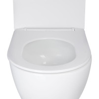 Унітаз підвісний Qtap Robin Mew безобідковий з сидінням Soft-close QT1333046EUQW